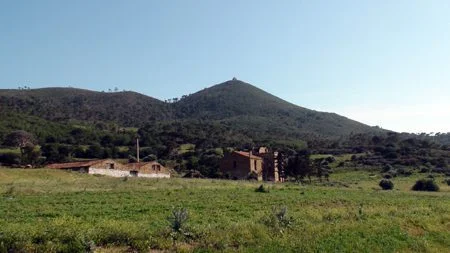 foncier algérie foncier algérie