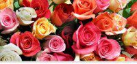 images (1)