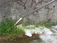 images (12)