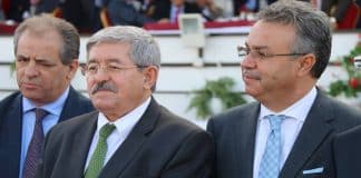 ORAN : Le Ministre Temmar limoge le Directeur de l’OPGI