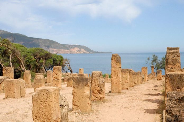 Tipaza-1068x712