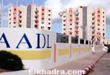 AADL : achèvement de la distribution de 30.000 unités à la fin 2020