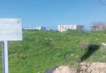 Ouargla: 1500 lots de terrain attribués prochainement aux citoyens