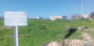Ouargla: 1500 lots de terrain attribués prochainement aux citoyens