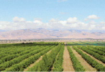 LOGEMENT RURAL À RELIZANE Un autre quota pour absorber la demande à Belacel