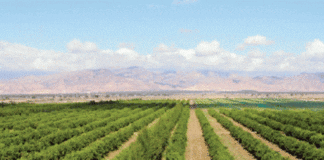 LOGEMENT RURAL À RELIZANE Un autre quota pour absorber la demande à Belacel