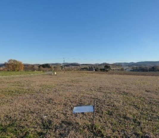 Le dossier du foncier à Skikda : «Des terres agricoles attribuées, puis étrangement récupérées»