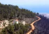 Construire en zone forestière : une loi en préparation après les incendies Maisons construites en lisière de forêt sur les hauteurs de Jijel