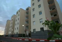 AADL3 El Tarf : 552 logements en chantier à Bouteldja et au Lac des Oiseaux Immeubles d’une cité AADL 3
