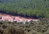 Construction en zone forestière : Belaribi prépare une loi contre le risque d’incendie Maisons construites en lisière de forêt en Algérie