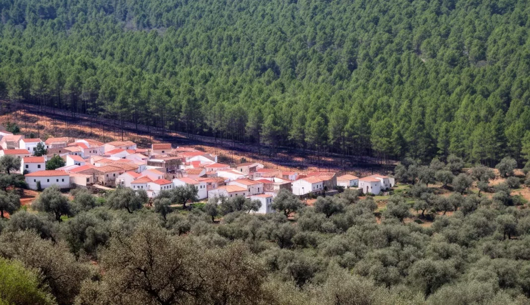 Maisons construites en lisière de forêt en Algérie