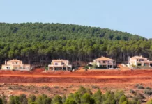 Logement en zone forestière : un projet de loi pour fixer des normes contre les incendies Maisons en lisière de forêt séparées par une bande coupe-feu