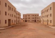 Constantine : une expertise technique pour les logements LPA restés vides à Ali Mendjeli Immeubles LPA inoccupés à Ali Mendjeli, Constantine